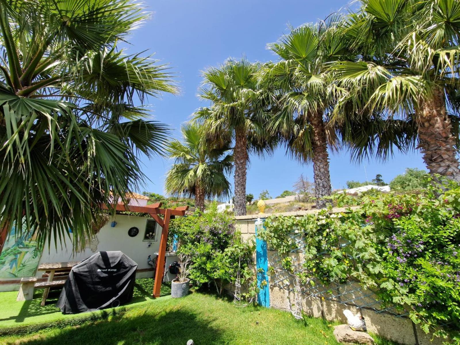 Escape To Finca Conejo, Typical Canarian House Private Jacuzzi, Sauna, Gym, Finca Conejo Taucho By Aqua Vista Tenerife أذيخي المظهر الخارجي الصورة