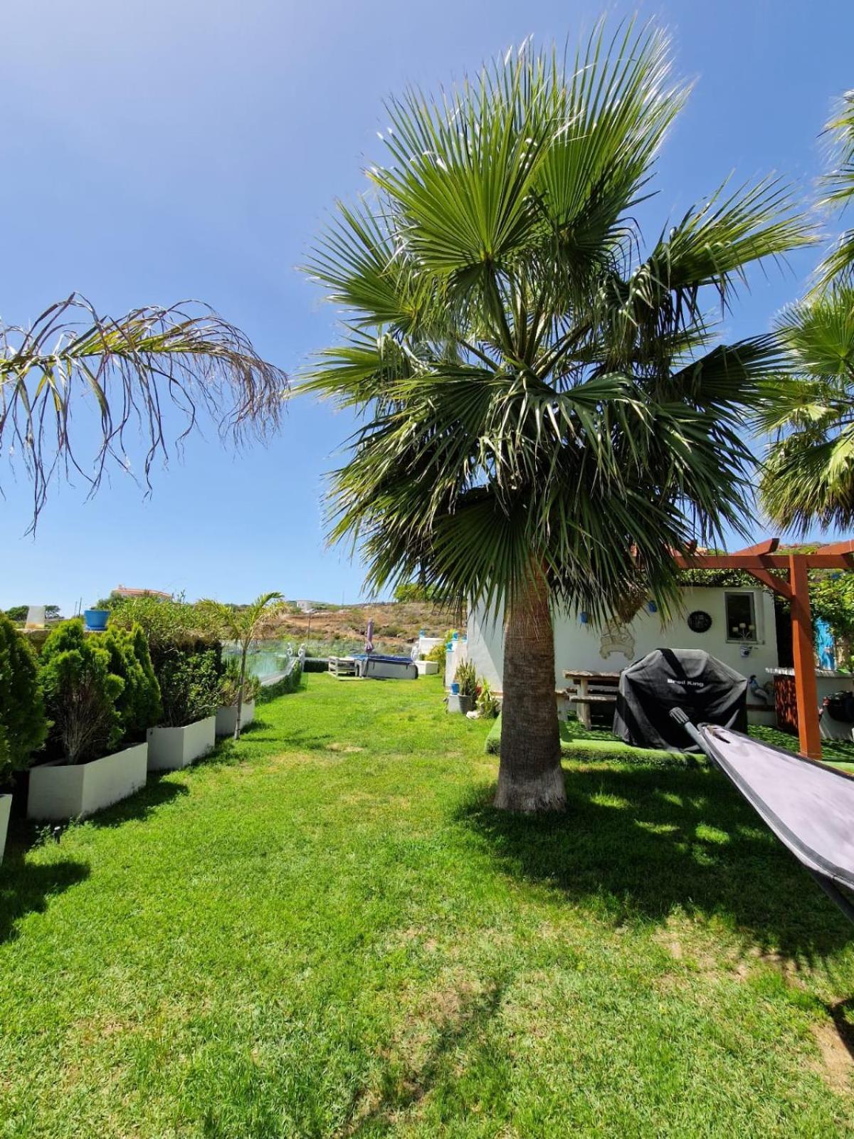 Escape To Finca Conejo, Typical Canarian House Private Jacuzzi, Sauna, Gym, Finca Conejo Taucho By Aqua Vista Tenerife أذيخي المظهر الخارجي الصورة